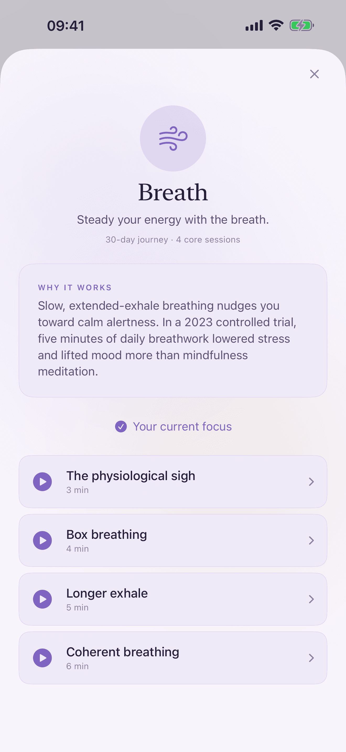 Energy Reset: Daily Rituals — School