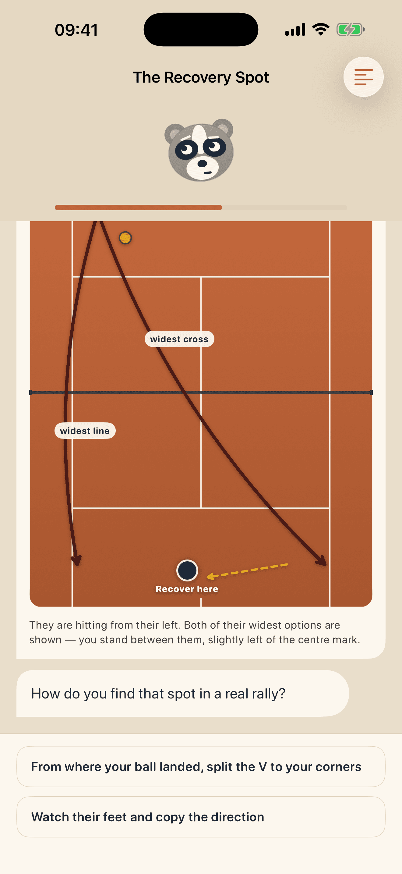 Tennis Tactics — Where to hit, drawn on the court